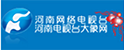 河南電視臺大象網